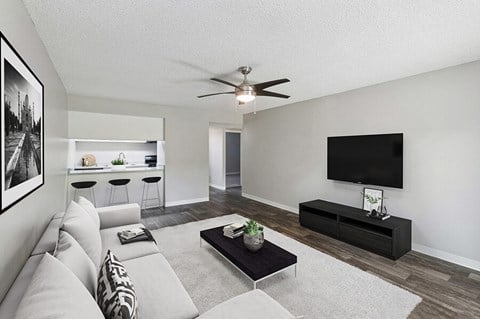 a living room with a couch and a tv