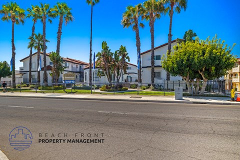 a city street with houses and palm trees