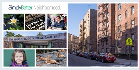 a collage of photos with buildings and a dog
