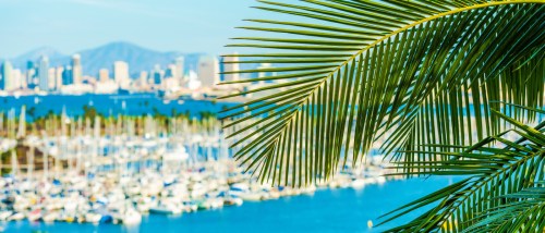 View of San Diego marina and skyline through palm leaves, highlighting the city’s appeal for renters seeking affordable neighborhoods.
