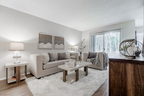 our apartments offer a living room with a couch and a table